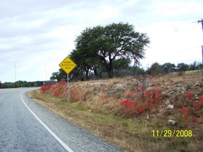Wkend Getaway 136.jpg