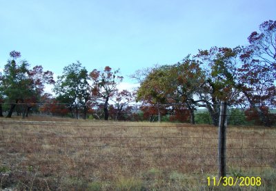 g1/21/122021/3/106665002.GHDuT5fi.jpg