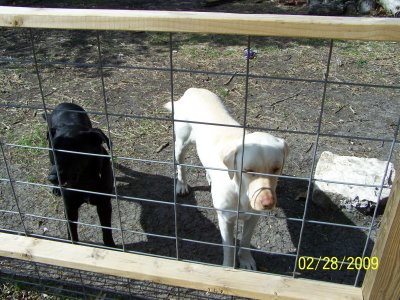 Spring 035.jpg