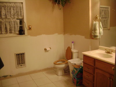 This was the bathroom during our first remodel of it.  It's the only shot that shows just how BIG the bathroom is, (without having some type of privacvy wall between the toilet and vanity area.