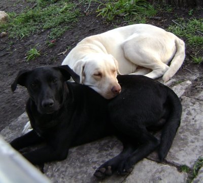 April2009 053.jpg