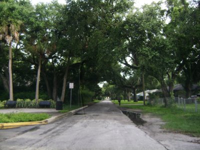 We drove down many tree-canopied streets and each time I wanted to take a picture.  I held back, taking pictures of only 4 and then deleting 1/2 to leave you with just 2 to look thru.