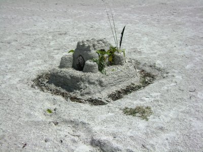 An abandoned sand castle that we came across that someone obviously spent extra attention in the decorating of.  ;)