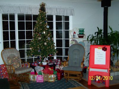 Christmas 2010 002.JPG