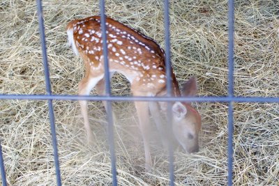 100_3791.jpg