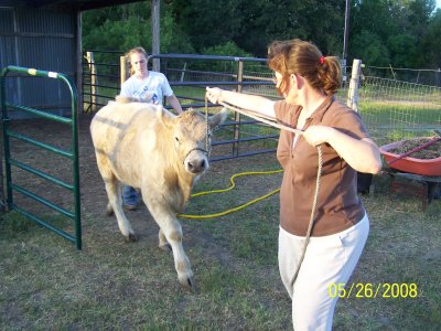 100_3847.jpg