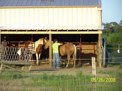 100_3848.jpg