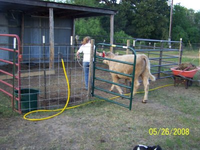 100_3856.jpg