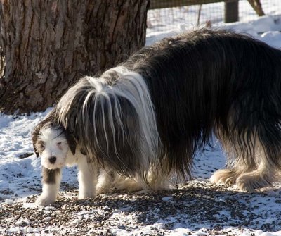 DMPups8582.jpg