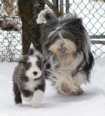 DMPups8607b.jpg