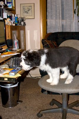 g1/21/21821/3/132008166.YxUIksJZ.jpg