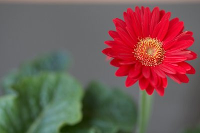 3X2G00653.jpg