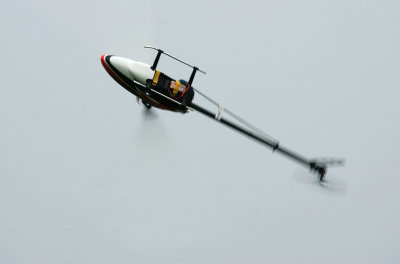 HZ8V3760.jpg