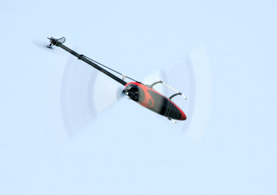 HZ8V3950.jpg