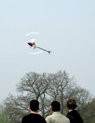 HZ8V3982.jpg