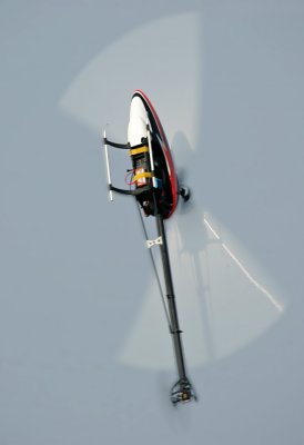 HZ8V4007.jpg