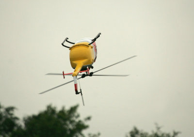 HZ8V0073.jpg