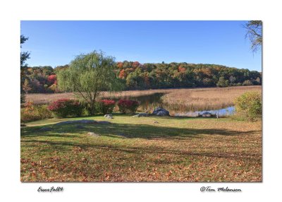 EssexFall4-TM.jpg