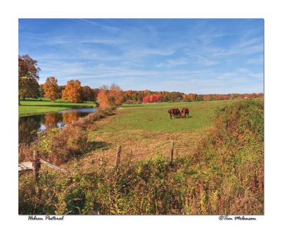 HebronPastoral-4x5.jpg