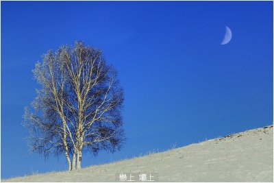 In Love with Winter 戀上 壩上
