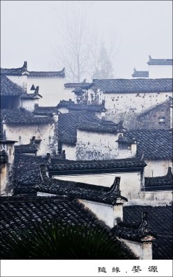 Houses in Mist