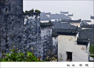 Houses in Mist