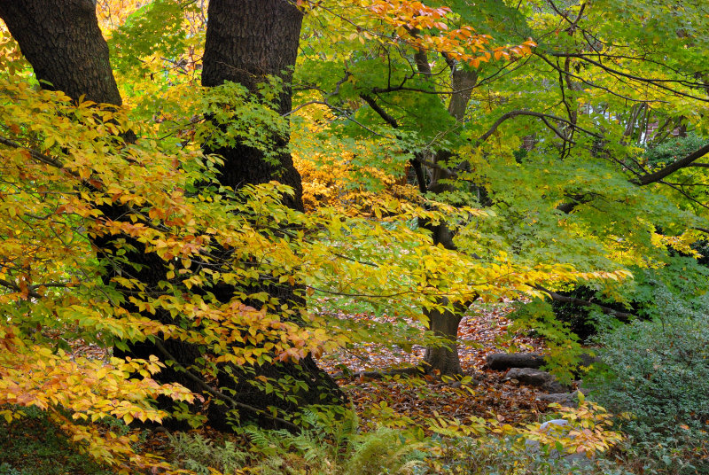 Clark Botanic Garden