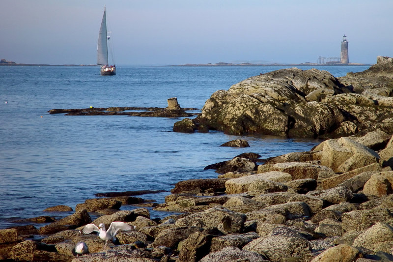 Coastline near Portland Head