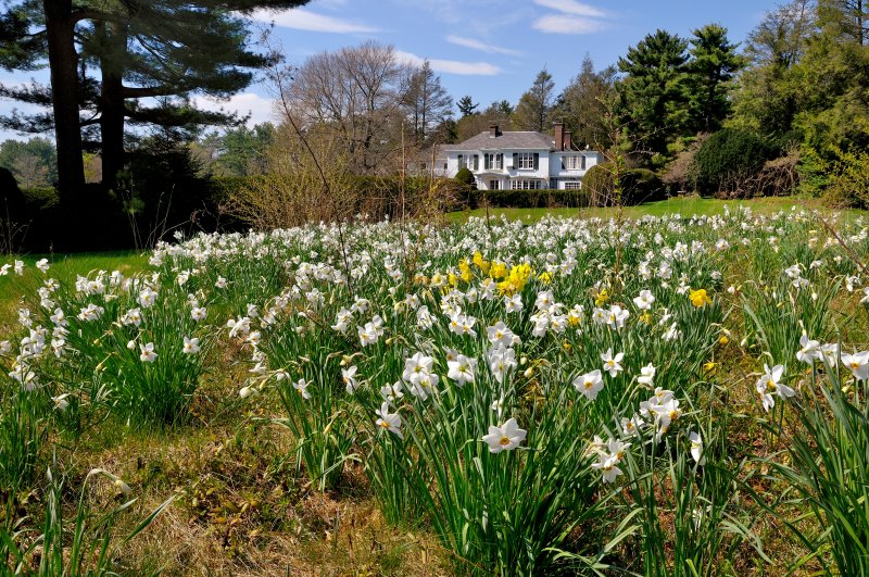Old Westbury Gardens