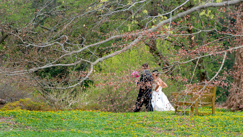 Old Westbury Gardens