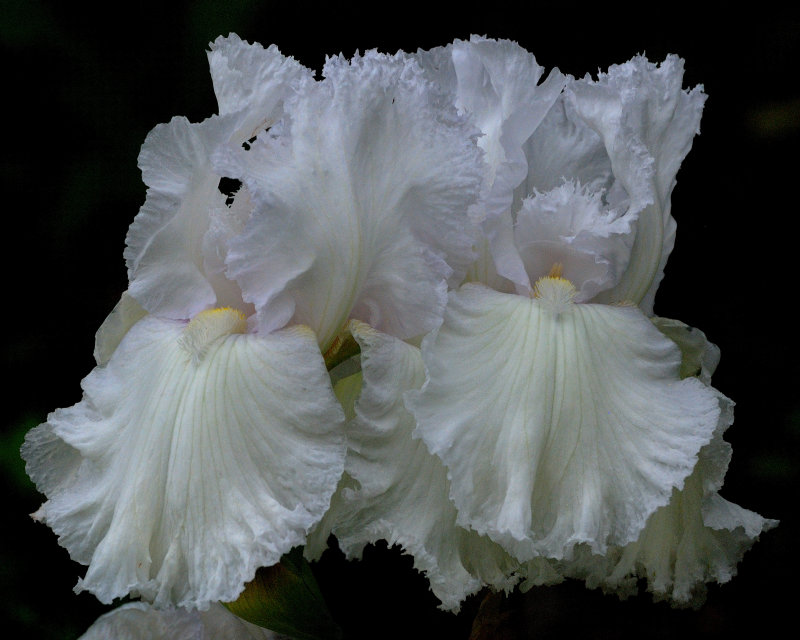 Clark Botanic Garden