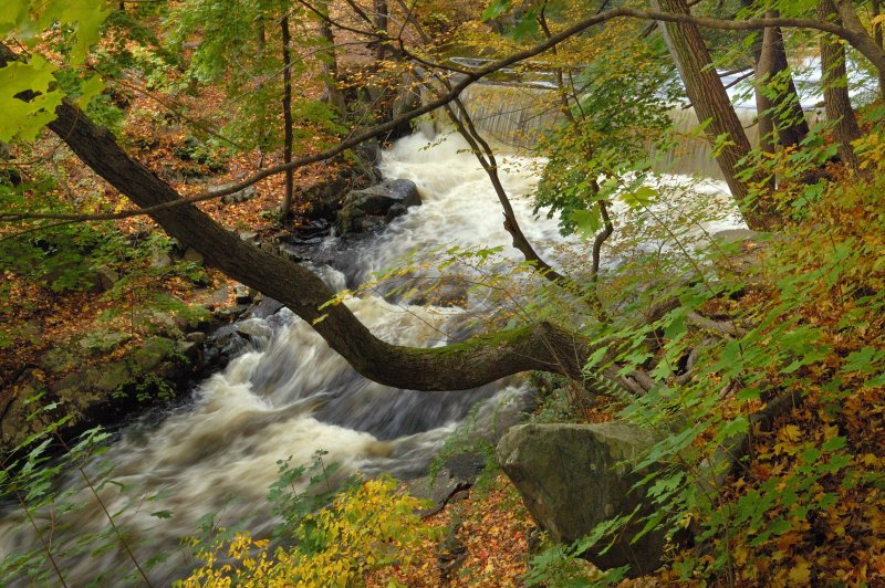 Grounds of the Vanderbilt Mansion, Hyde Park, NY
