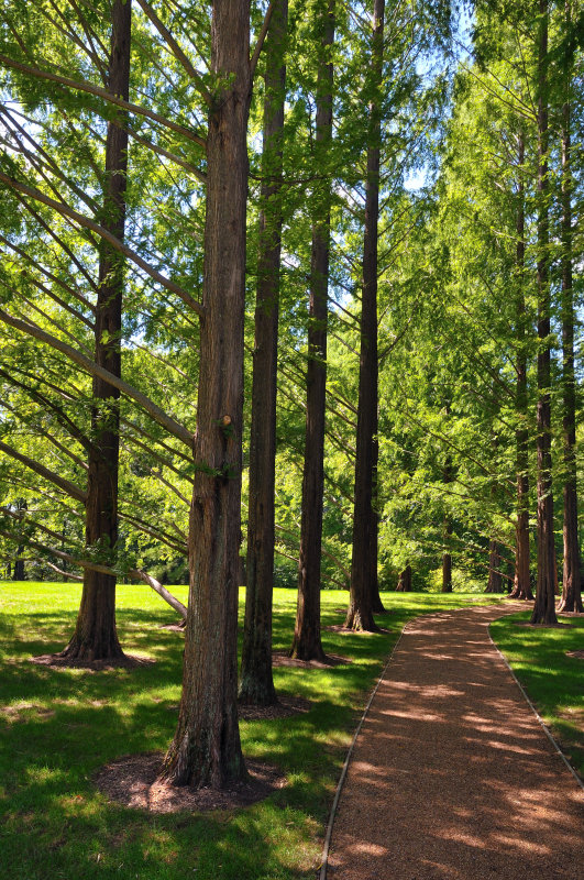 Grounds of PepsiCo International Headquarters, Purchase