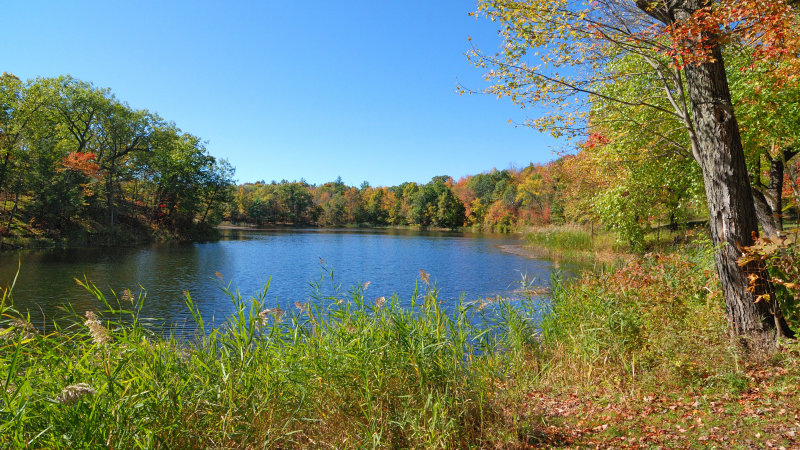 Grounds of Olana, Hudson, NY