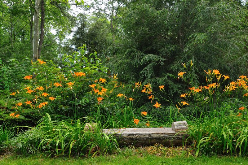 Longhouse Reserve