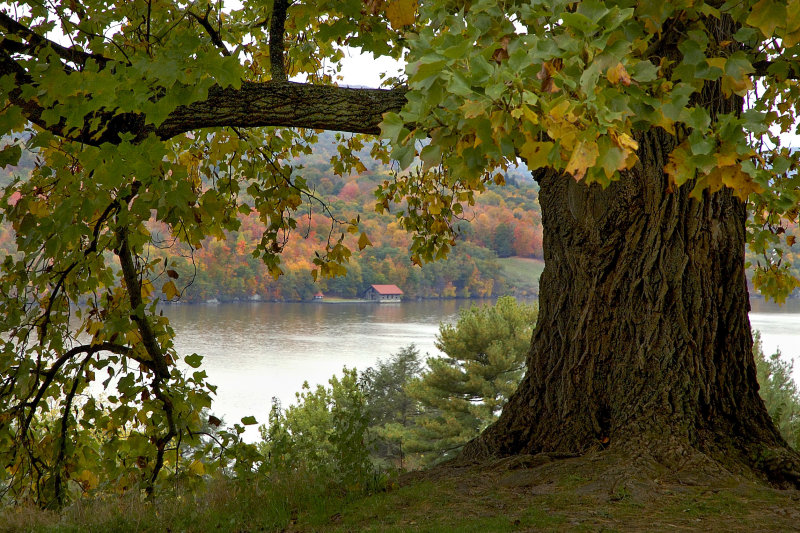 West Across the Hudson (from the Vanderbilt Mansion)