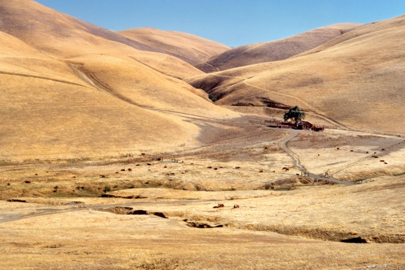 Ranch near Stockton, CA - 1968