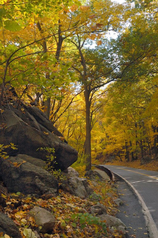 Storm King State Park