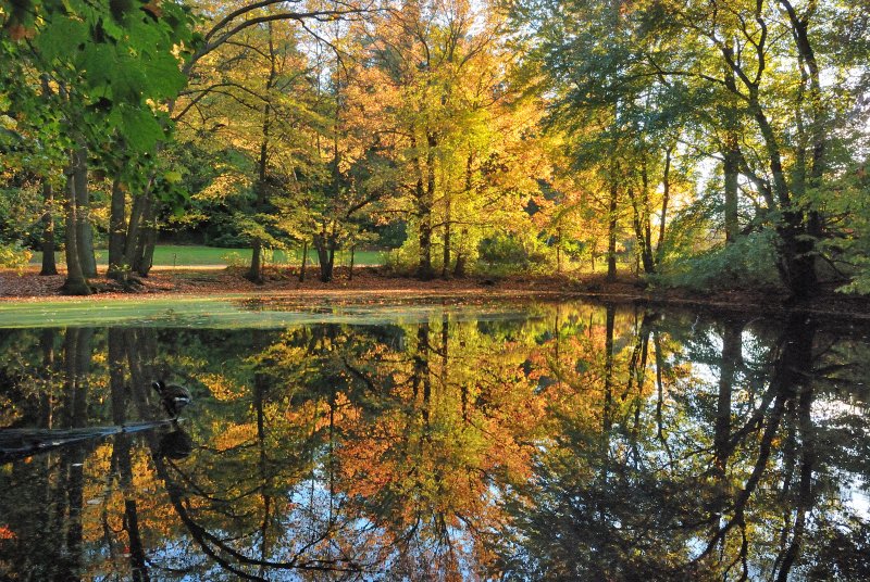 Old Westbury Gardens