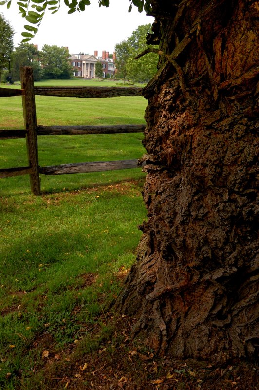 Glen Cove Mansion