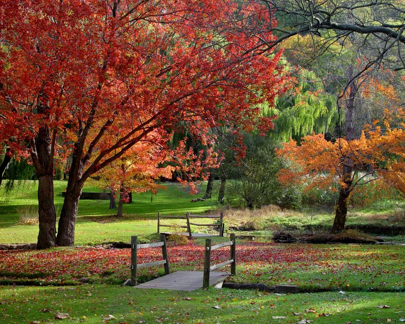 Gerry Park, Roslyn