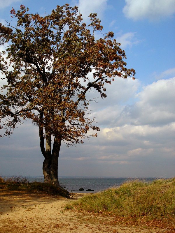 Caumsett State Historic Park