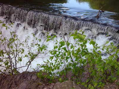 Bronx River - New York Botanical Garden