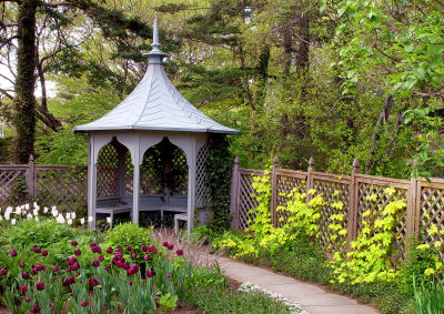 Home Gardening Center - New York Botanical Garden