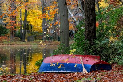 Bailey Arboretum