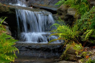 New York Botanical Garden