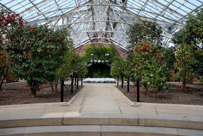 Planting Fields Arboretum