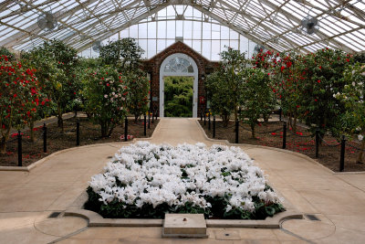 Planting Fields Arboretum