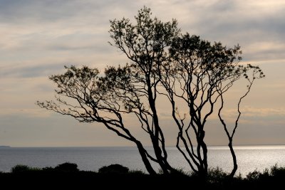 Long Island Sound near Old Field Lighthouse