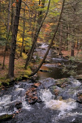 Bushkill Falls, Bushkill, PA